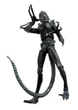 Listing image for NECA 2024 Aliens Xenomorph Warrior Blue Version Ultimate 7-inch Action Figure