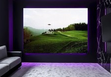 Listing image for Large X Files Want To Believe Billy Meier UFO UAP Flying Saucer Wall Art Poster